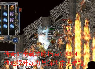 SFȫ¹ָϣοս