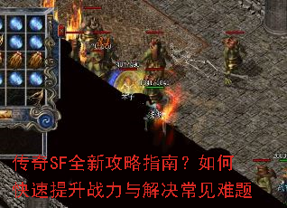 SFȫ¹ָϣοս