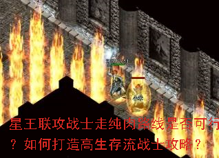 星王联攻<a href=