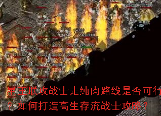 星王联攻战士走纯肉路线是否可行?如何打造高生存流战士攻略? 星王联攻战士走纯肉路线是否可行?如何打造高生存流战士攻略?