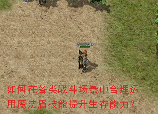 如何在各类战斗场景中合理运用魔法盾技能提升生存能力? 如何在各类战斗场景中合理运用魔法盾技能提升生存能力?