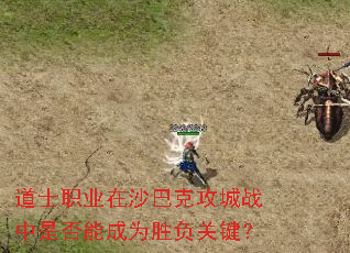 道士职业在沙巴克攻城战中是否能成为胜负关键? 道士职业在沙巴克攻城战中是否能成为胜负关键?