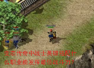 ̬սʿӢ۴ʲôְҵܷս