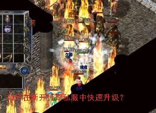 如何在新开传奇私服中快速升级? 如何在新开传奇私服中快速升级?