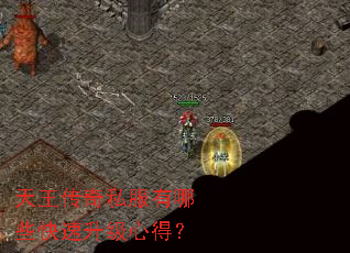 天王传奇私服有哪些快速升级心得? 天王传奇私服有哪些快速升级心得?