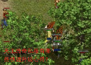 天王传奇私服有哪些快速升级心得? 天王传奇私服有哪些快速升级心得?