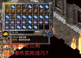 传奇BOSS定点刷新有哪些实用技巧? 传奇BOSS定点刷新有哪些实用技巧?