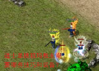 道士单挑祖玛教主需要哪些技巧和装备? 道士单挑祖玛教主需要哪些技巧和装备?