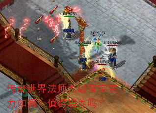 传奇世界法师九级宝宝实力如何?值得培养吗? 传奇世界法师九级宝宝实力如何?值得培养吗?