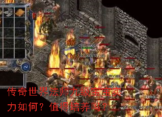 传奇世界法师九级宝宝实力如何?值得培养吗? 传奇世界法师九级宝宝实力如何?值得培养吗?