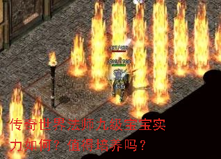 传奇世界法师九级宝宝实力如何?值得培养吗? 传奇世界法师九级宝宝实力如何?值得培养吗?