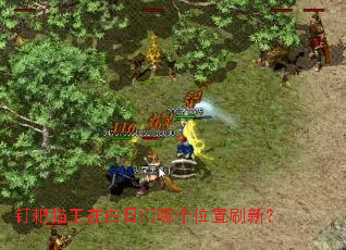 钉耙猫王在白日门哪个位置刷新? 钉耙猫王在白日门哪个位置刷新?