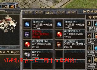 钉耙猫王在白日门哪个位置刷新? 钉耙猫王在白日门哪个位置刷新?