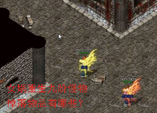 女娲重生九阶怪物掉落物品有哪些? 女娲重生九阶怪物掉落物品有哪些?