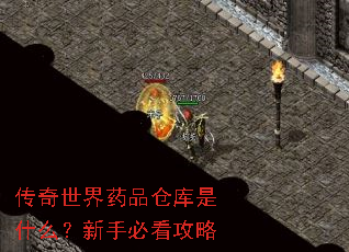 传奇世界药品仓库是什么?新手必看攻略 传奇世界药品仓库是什么?新手必看攻略