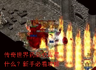 传奇世界药品仓库是什么?新手必看攻略 传奇世界药品仓库是什么?新手必看攻略