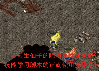 十重转生仙子的隐藏属性如何解锁?转生技能学习脚本的正确使用步骤是什么? 十重转生仙子的隐藏属性如何解锁?转生技能学习脚本的正确使用步骤是什么?