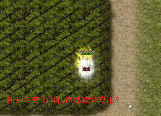 新开传奇如何快速赚取游戏币? 新开传奇如何快速赚取游戏币?