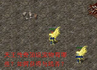 天王传奇顶级宠物有哪些?如何获得与培养? 天王传奇顶级宠物有哪些?如何获得与培养?