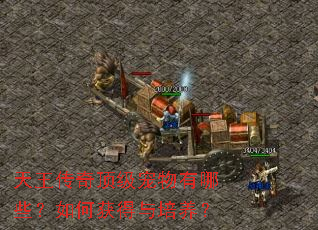 天王传奇顶级宠物有哪些?如何获得与培养? 天王传奇顶级宠物有哪些?如何获得与培养?