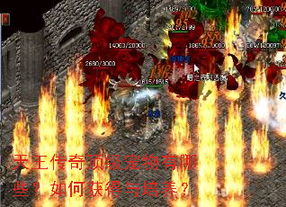 天王传奇顶级宠物有哪些?如何获得与培养? 天王传奇顶级宠物有哪些?如何获得与培养?