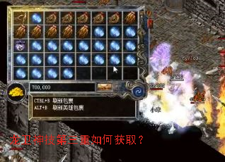 龙卫神技第三重如何获取? 龙卫神技第三重如何获取?