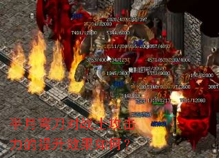 �����䵶��սʿ������������Ч����Σ�