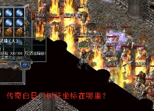 ����������������������