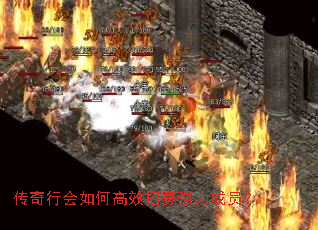 �����л���θ�Ч��ļǿ����Ա��