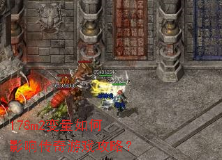 178m2�������Ӱ�촫����Ϸ���ԣ�