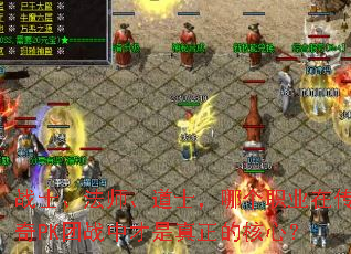 սʿ����ʦ����ʿ���ĸ�ְҵ�ڴ���PK��ս�в��������ĺ��ģ�