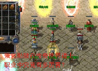 ǿ�������ڴ��������ʿְҵ�о����ж�������