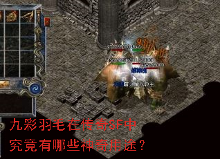 �Ų���ë�ڴ���SF�о�������Щ������;��