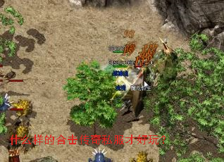 ʲô���ĺϻ�����˽���ź��棿