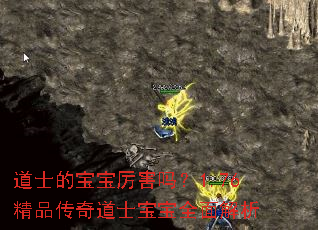 ��ʿ�ı���������1.76��Ʒ�����ʿ����ȫ�����