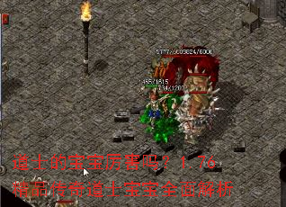 ��ʿ�ı���������1.76��Ʒ�����ʿ����ȫ�����