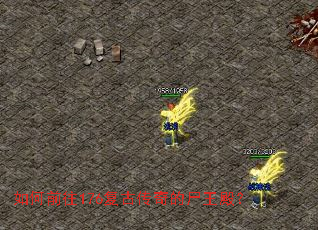 ���ǰ��176���Ŵ����ʬ���