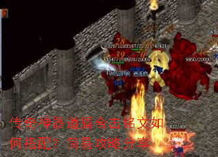 �����������ܺϻ�������δ��䣿���׹��Է���