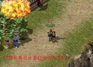 ����˽��սʿ������������Щ��