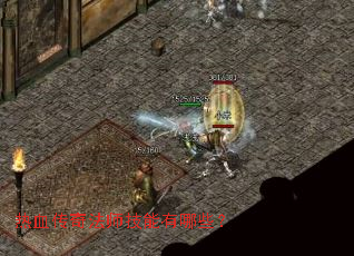 ��Ѫ���淨ʦ��������Щ��