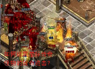 ��������Ǽʴ�����������׷����