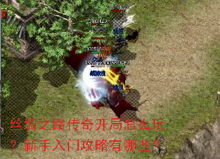 ˿��֮·���濪����ô�棿�������Ź�������Щ��