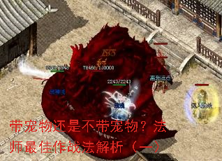 带宠物还是不带宠物?法师最佳作战法解析(一) 带宠物还是不带宠物?法师最佳作战法解析(一)