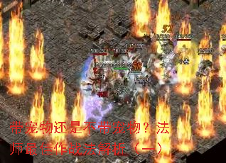 带宠物还是不带宠物?法师最佳作战法解析(一) 带宠物还是不带宠物?法师最佳作战法解析(一)