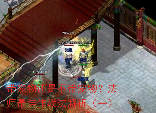 带宠物还是不带宠物?法师最佳作战法解析(一) 带宠物还是不带宠物?法师最佳作战法解析(一)