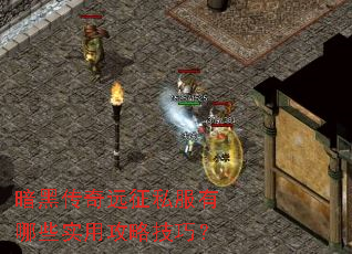 ���ڴ���Զ��˽������Щʵ�ù��Լ��ɣ�