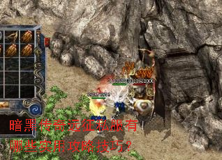 ���ڴ���Զ��˽������Щʵ�ù��Լ��ɣ�