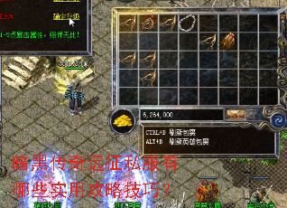 ���ڴ���Զ��˽������Щʵ�ù��Լ��ɣ�