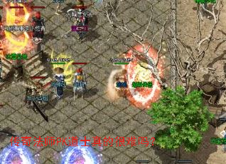 ���淨ʦPK��ʿ��ĺ�����