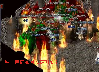 ��Ѫ������ο���������